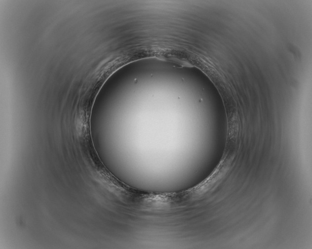 X0000113530140200909181143