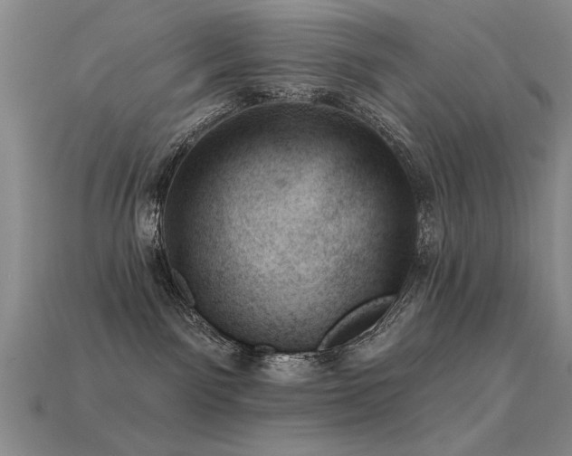 X0000113530141200909181143