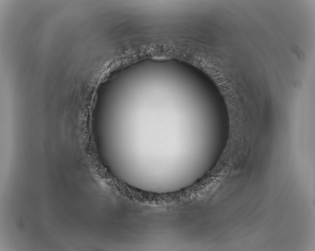 X0000113530144200909181143