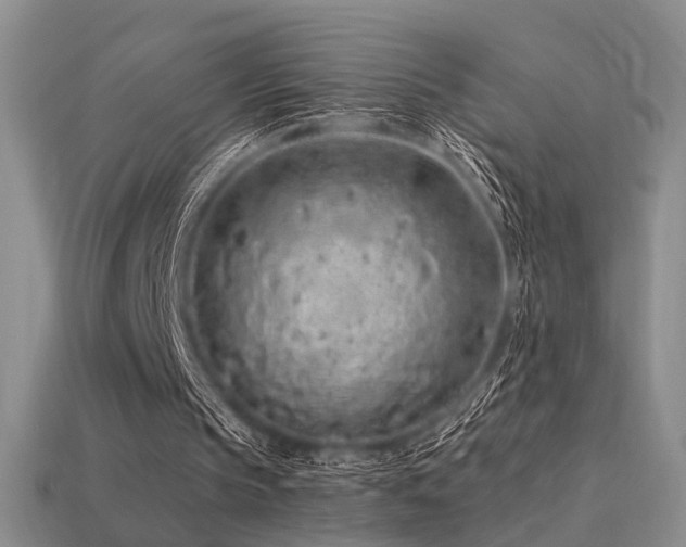 X0000113530145200909181142