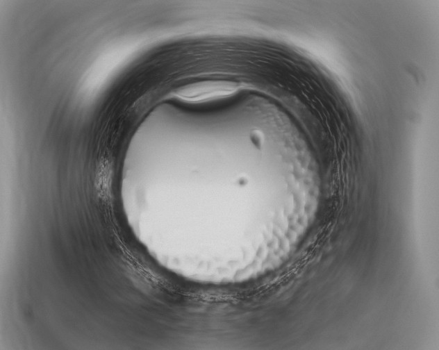 X0000113530146200909181142