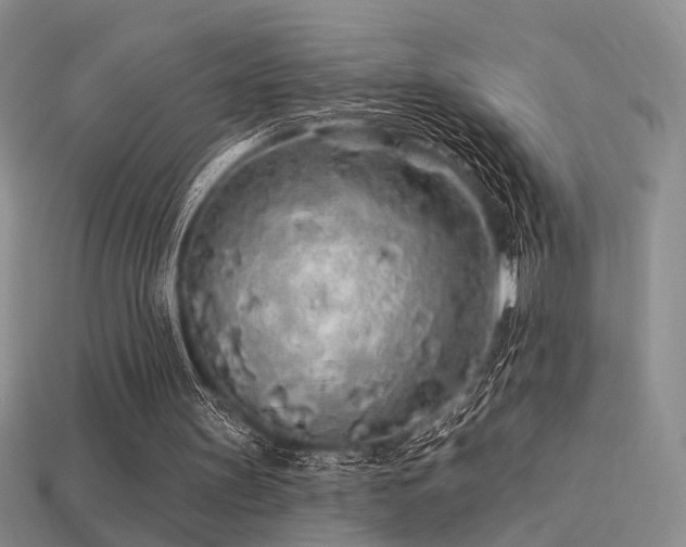 X0000113530147200909181142