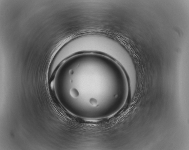 X0000113530148200909181142