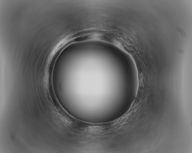 X0000113530150200909181142