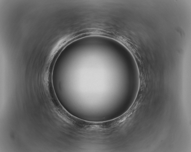 X0000113530151200909181142