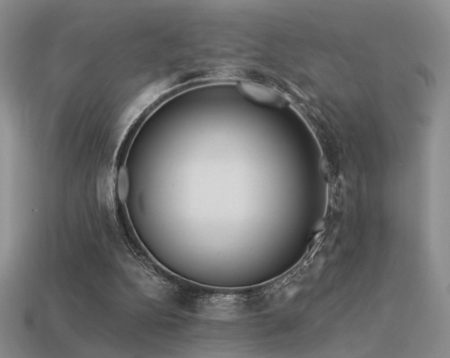 X0000113530152200909181142