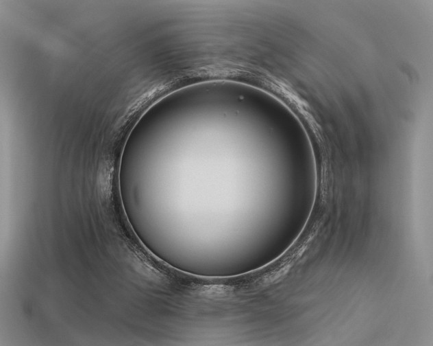 X0000113530153200909181142