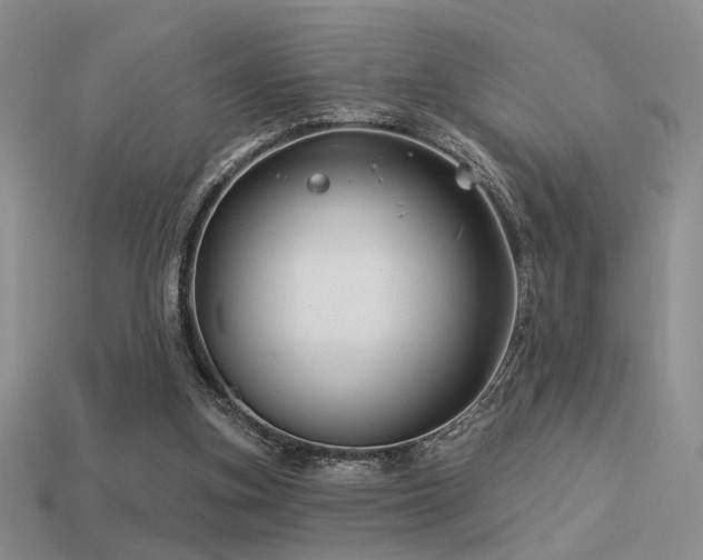 X0000113530155200909181142