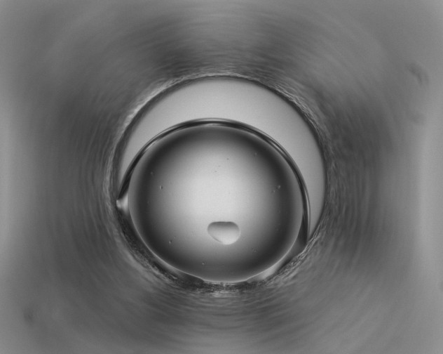 X0000113530156200909181142
