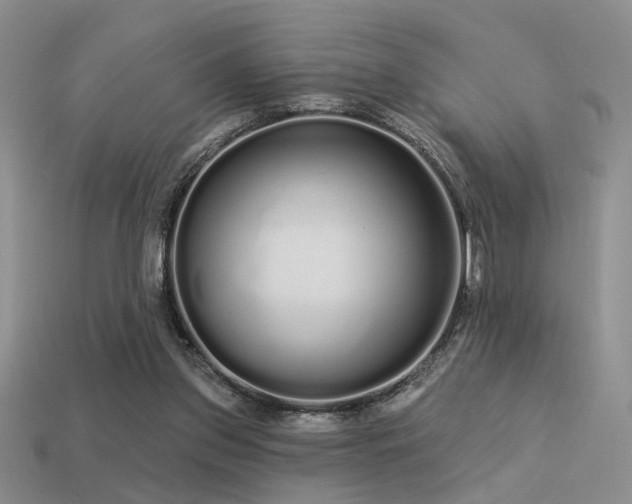X0000113530157200909181142