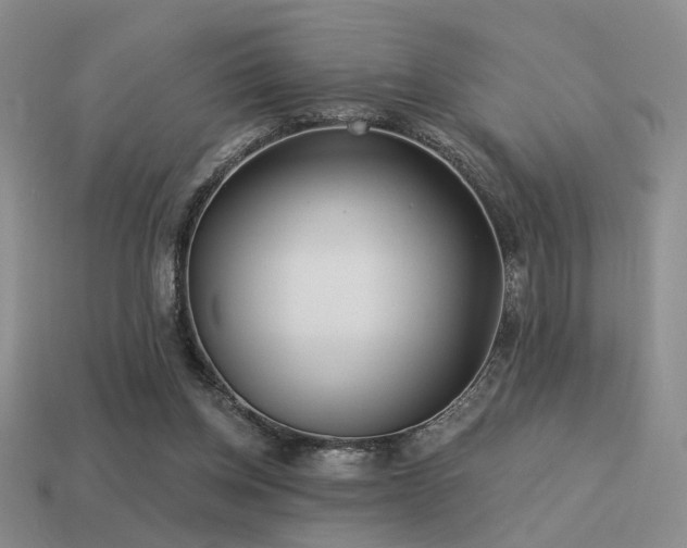 X0000113530158200909181142