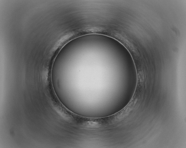 X0000113530159200909181142