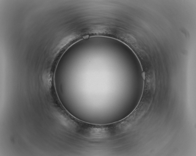 X0000113530160200909181142