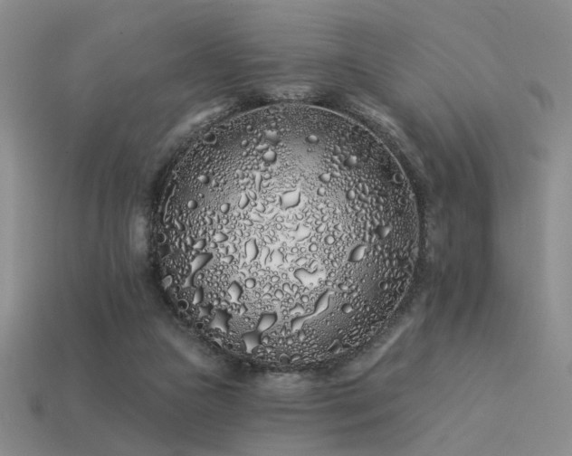 X0000113530161200909181142