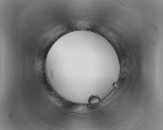 X0000113530162200909181142
