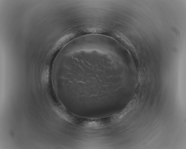 X0000113530163200909181142