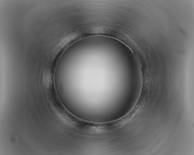 X0000113530164200909181142