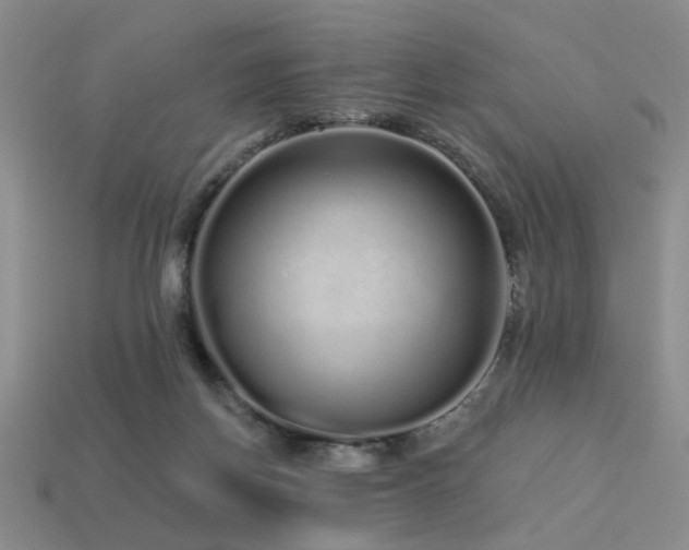 X0000113530166200909181143