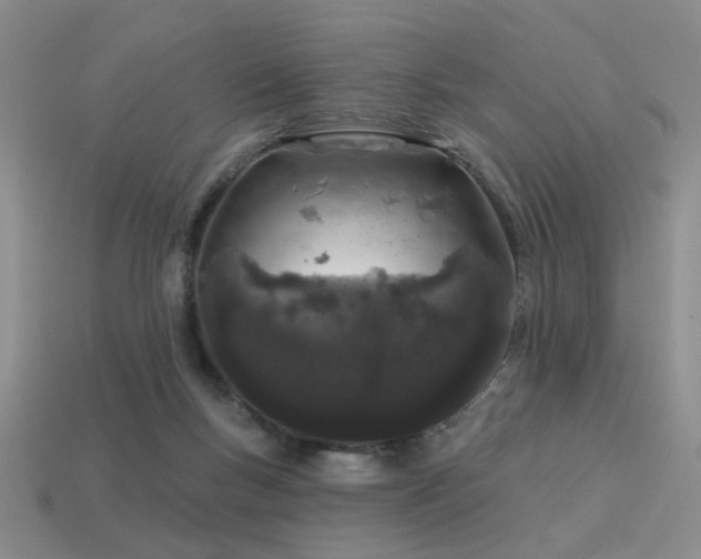 X0000113530167200909181143