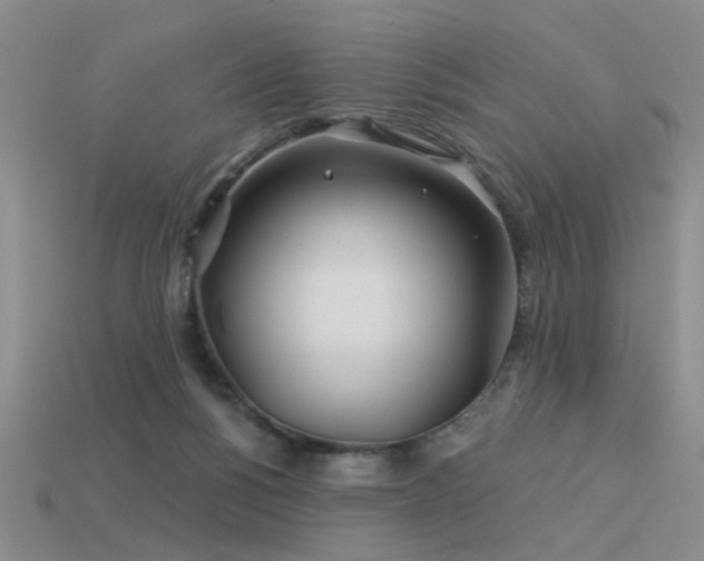 X0000113530168200909181143
