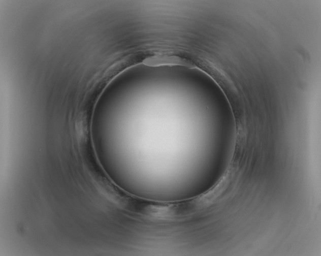 X0000113530170200909181143