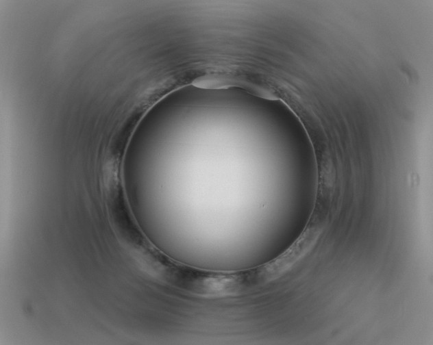 X0000113530172200909181143