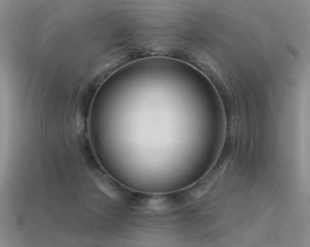 X0000113530173200909181143