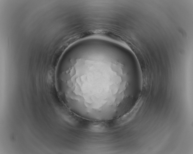 X0000113530175200909181143