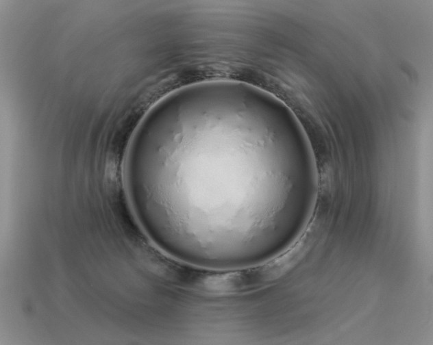 X0000113530178200909181143