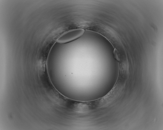 X0000113530180200909181143
