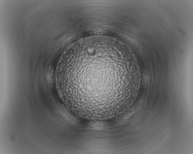 X0000113530181200909181143