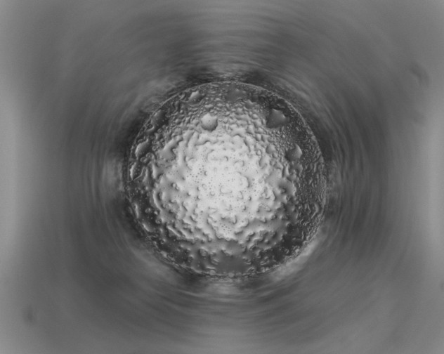 X0000113530182200909181143