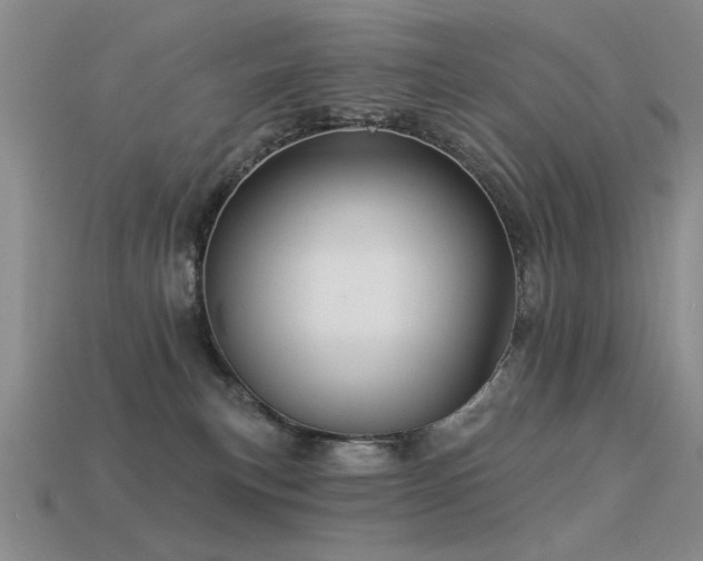 X0000113530183200909181143