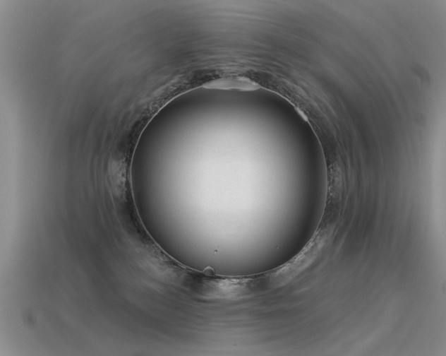 X0000113530184200909181143