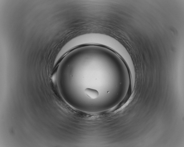 X0000113530186200909181143