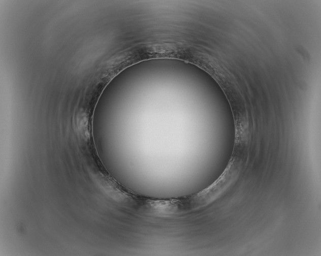X0000113530187200909181143