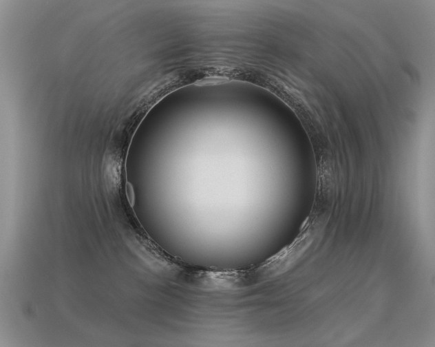X0000113530188200909181143