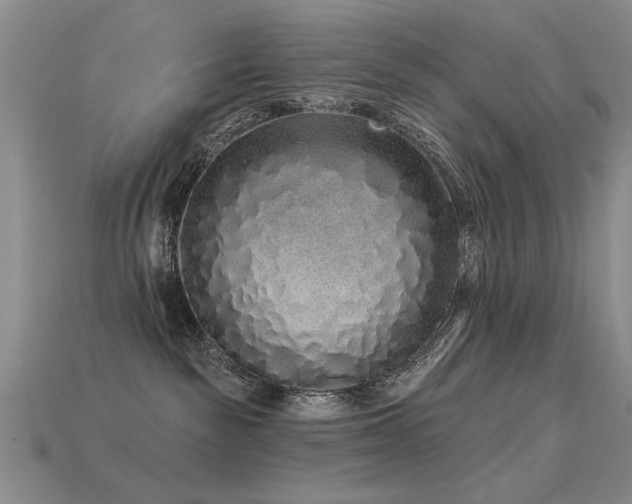 X0000113530189200909181143
