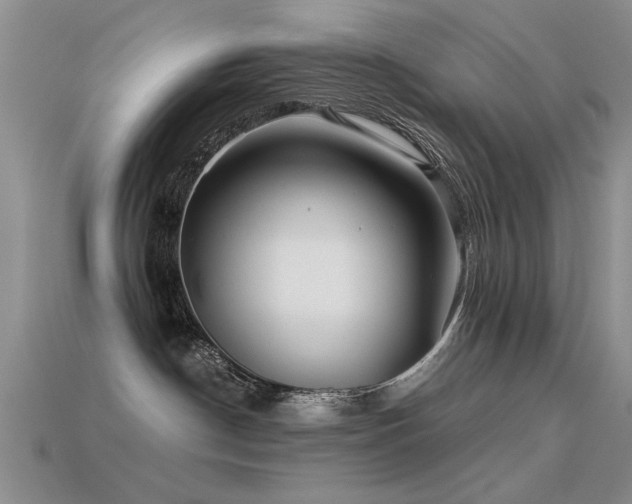 X0000113530190200909181143