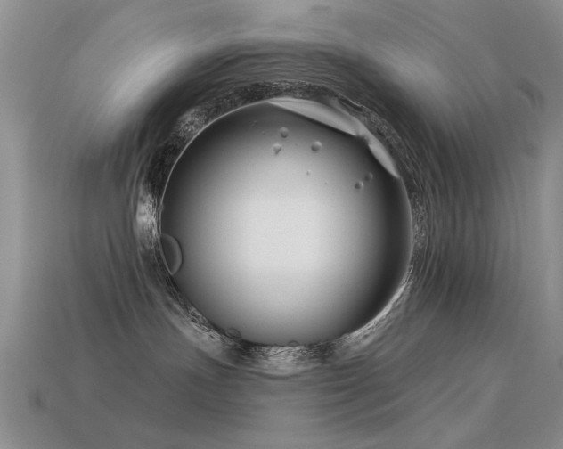 X0000113530191200909181143