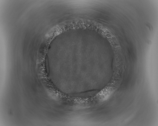 X0000113530192200909181143