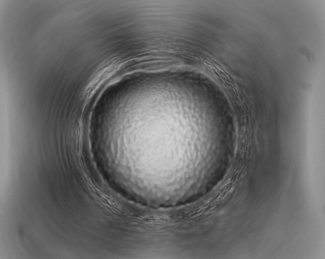 X0000113530194200909181142