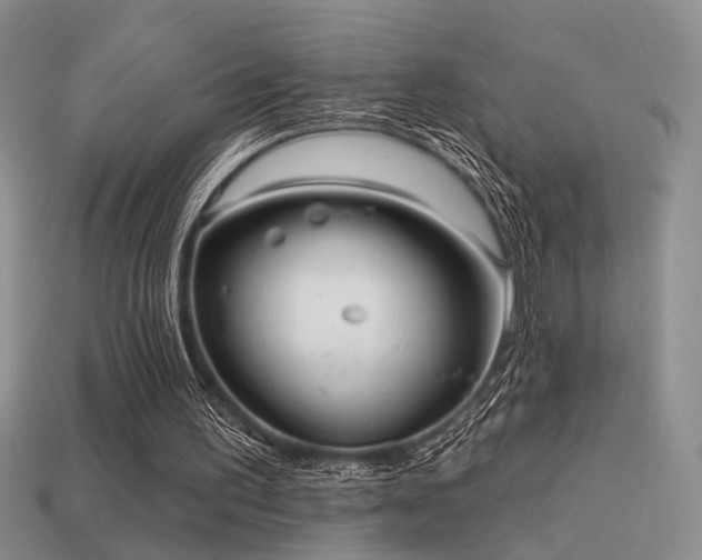 X0000113530195200909181142