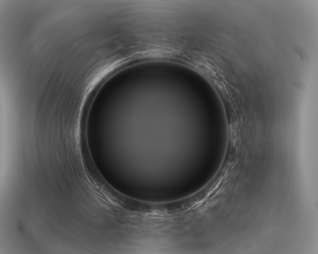 X0000113530196200909181142