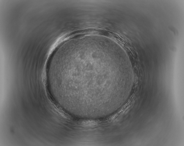 X0000113530198200909181142
