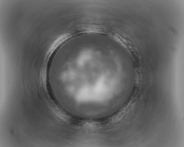 X0000113530199200909181142