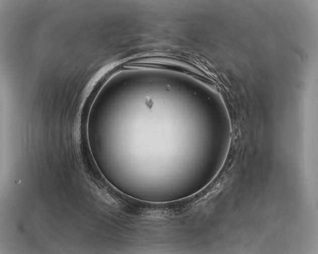 X0000113530200200909181142
