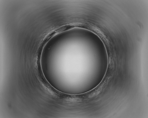 X0000113530201200909181142