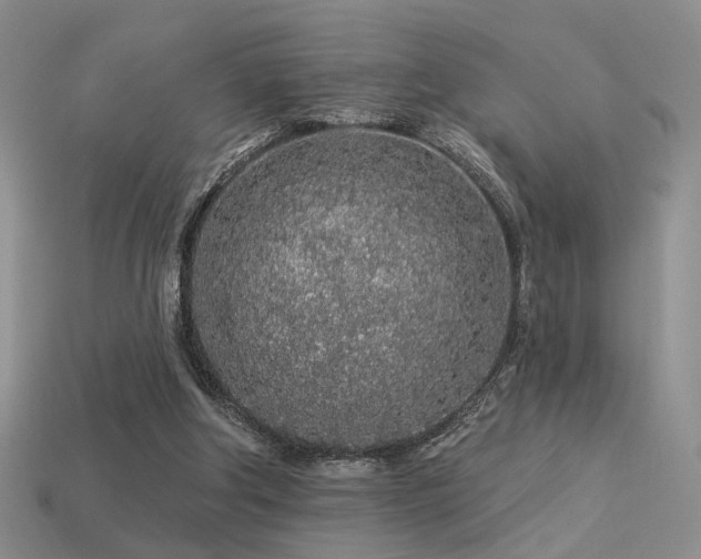 X0000113530202200909181142