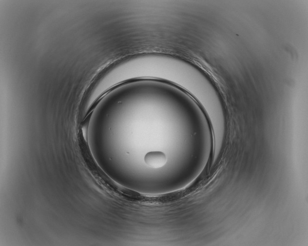 X0000113530203200909181142